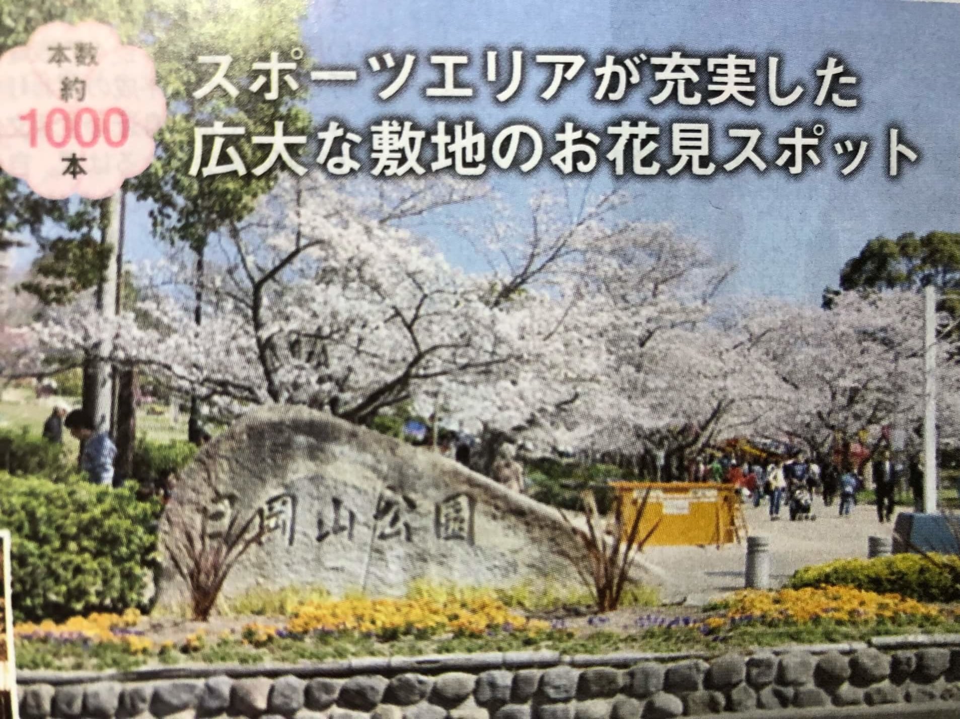 加古川市 桜開花まであと少し 1 000本超の桜は日岡山にあり 号外net 加古川市 高砂市