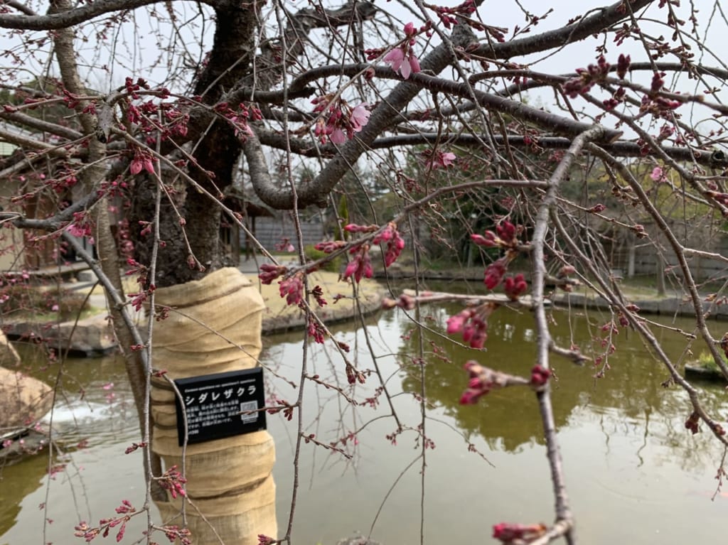 野添北公園